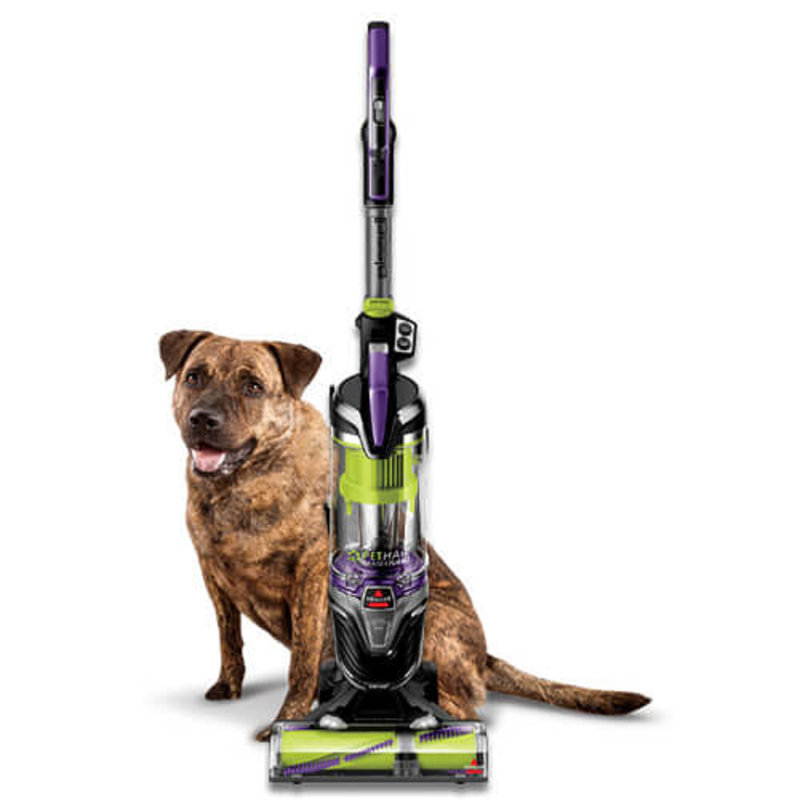 Bissell Pet Hair Eraser® Turbo Plus Vacuum Cleaner & Reviews Wayfair